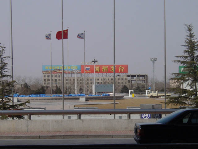 DSC01241.jpg