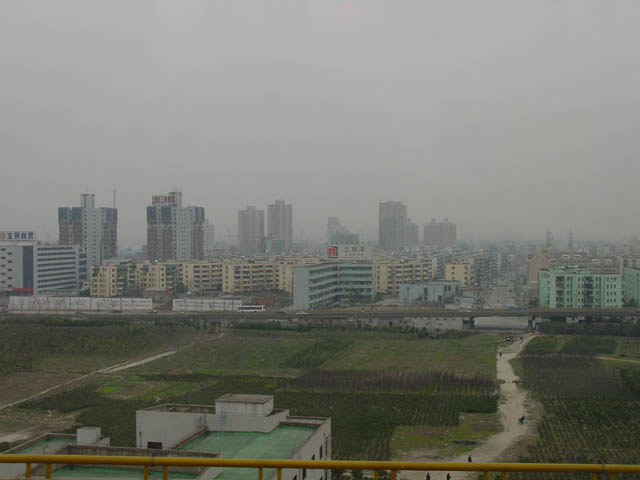DSC01253.jpg