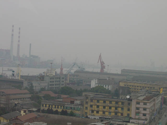 DSC01255.jpg