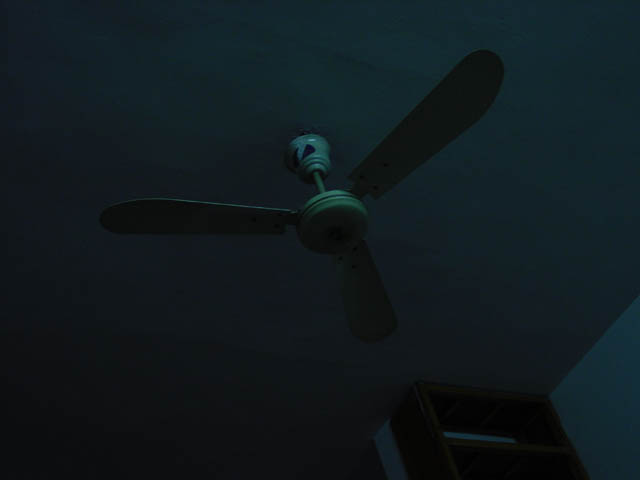DSC01264.jpg