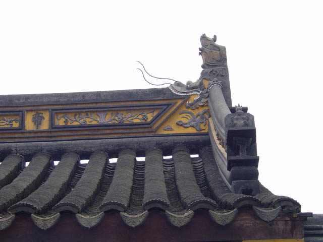 DSC01304.jpg