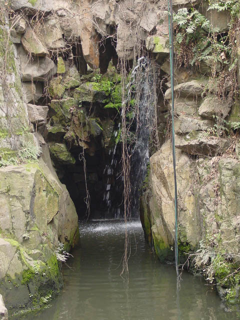DSC01314.jpg