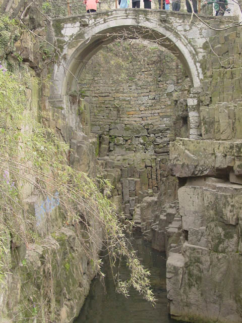 DSC01315.jpg