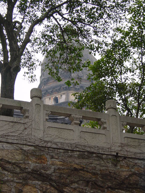 DSC01326.jpg