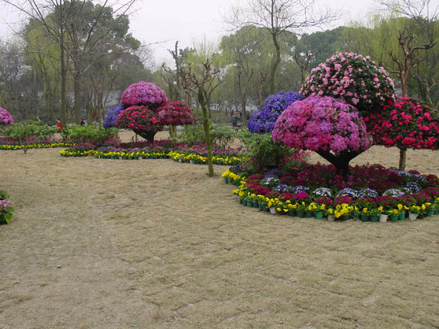 DSC01340.jpg