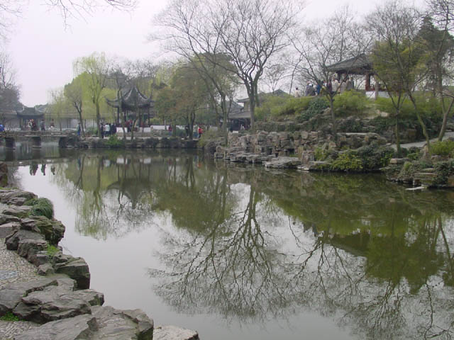 DSC01342.jpg