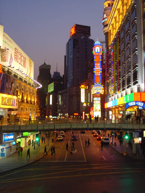 DSC01351.jpg