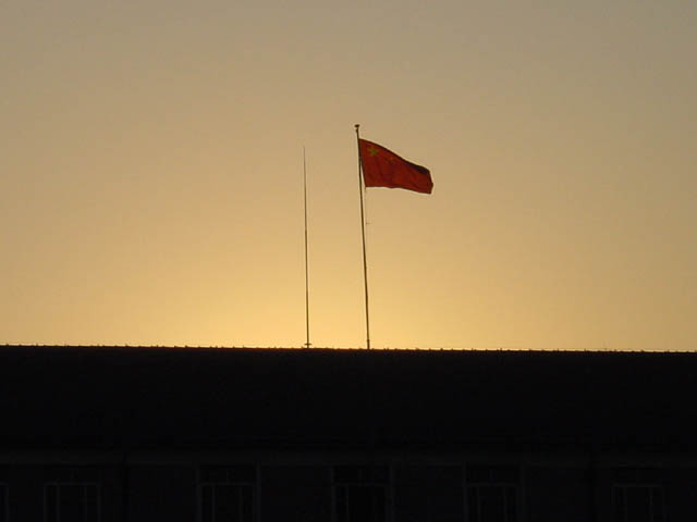DSC01355.jpg