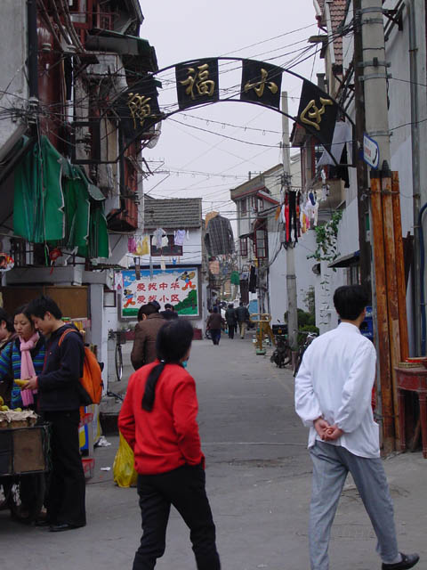 DSC01381.jpg