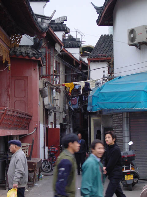 DSC01385.jpg