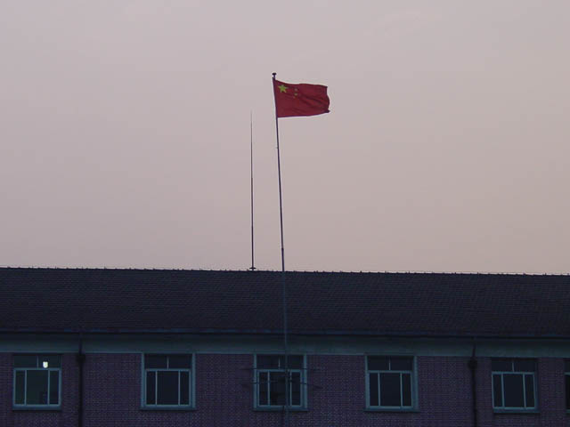 DSC01406.jpg