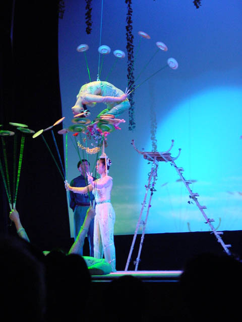 DSC01435.jpg