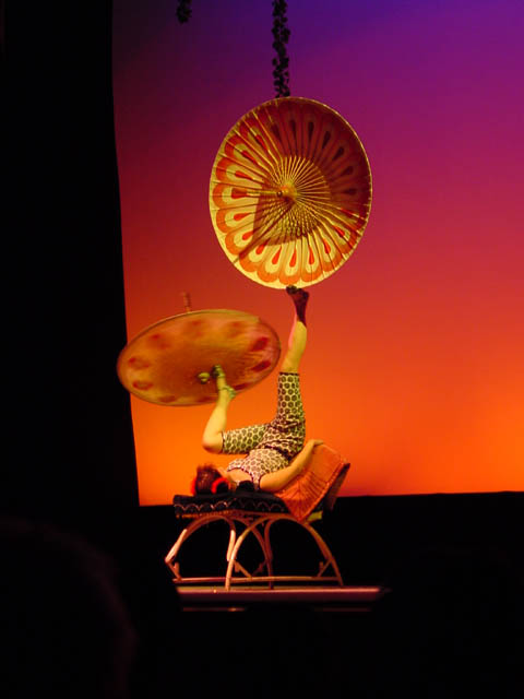 DSC01441.jpg
