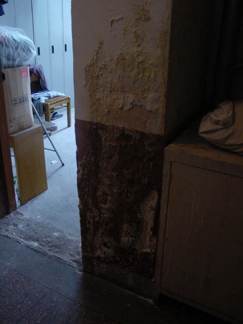 DSC01621.jpg