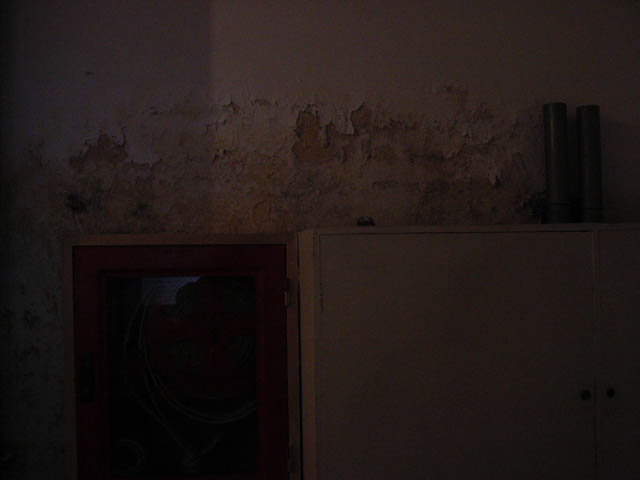 DSC01623.jpg
