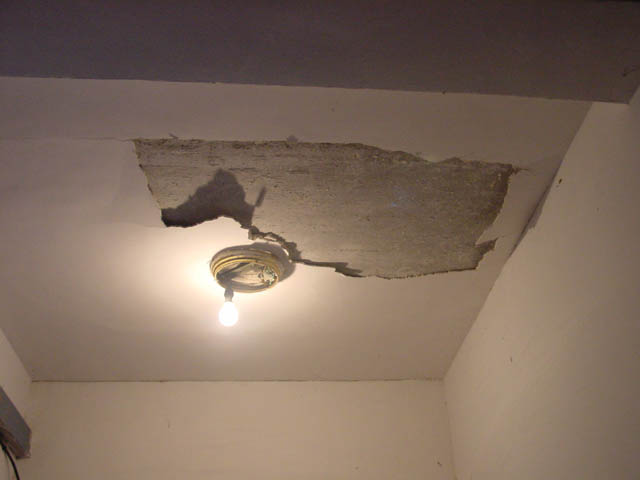 DSC01626.jpg