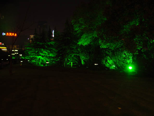 DSC01831.jpg