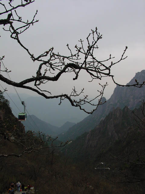 DSC01909.jpg