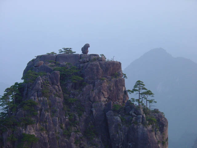 DSC01987.jpg