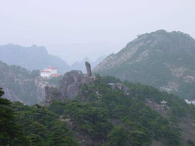DSC02010.jpg