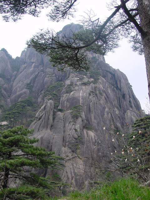 DSC02016.jpg