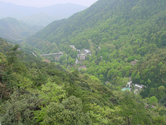 DSC02021.jpg