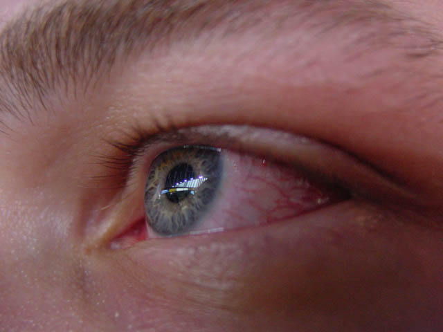 DSC02096.jpg