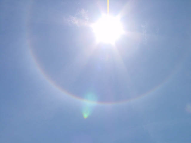 DSC02130.jpg