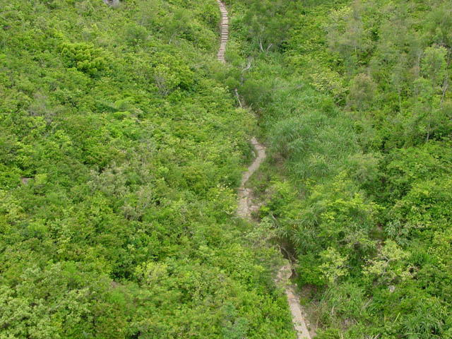 DSC02201.jpg