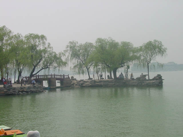 DSC02646.jpg
