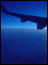 DSC01237.jpg