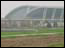 DSC01247.jpg