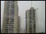 DSC01251.jpg