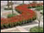 DSC01305.jpg