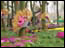 DSC01307.jpg