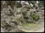 DSC01309.jpg