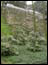 DSC01322.jpg