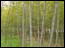 DSC01323.jpg