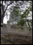 DSC01326.jpg