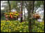 DSC01331.jpg
