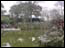 DSC01334.jpg