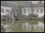 DSC01336.jpg