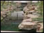 DSC01338.jpg