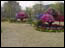 DSC01340.jpg