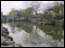 DSC01342.jpg