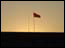 DSC01355.jpg