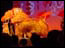 DSC01416.jpg