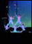 DSC01432.jpg