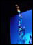 DSC01457.jpg