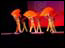 DSC01471.jpg